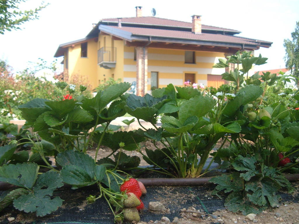 Agriturismo Fior Di Campo Dronero Extérieur photo